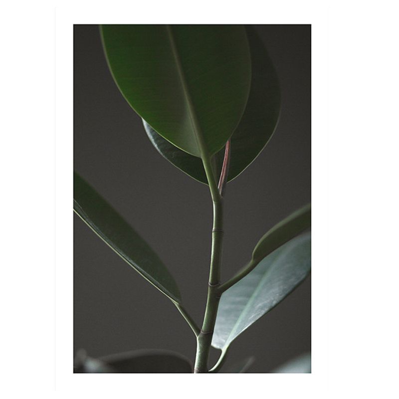 Photography Farmhouse Canvas Wall Art with Plant Stem Pattern in Green for House