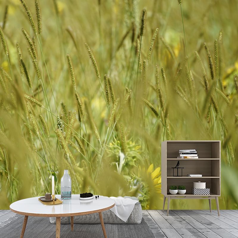 Setaria Plant Moisture Resistant Wall Mural Living Room Wall Decor, Custom Size Available