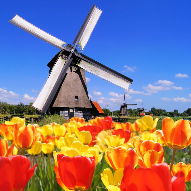 Large Static Windmill Mural Wallpaper Modern Landscape Wall Decor in Light Color