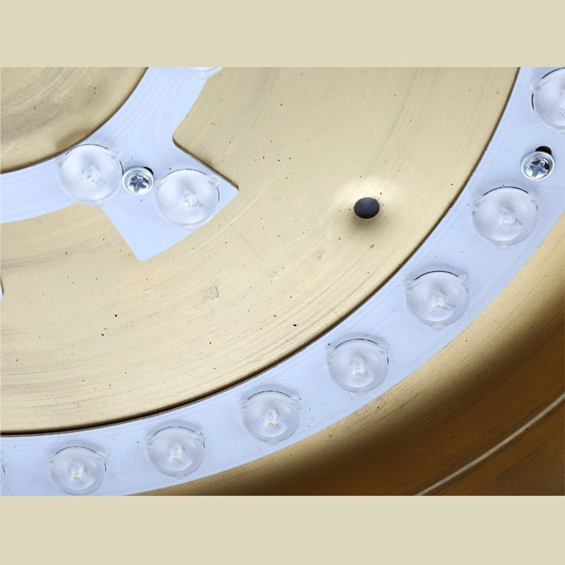 Flush moderne Montage Ceiling Fixtures Acrylique Ceiling Lamp