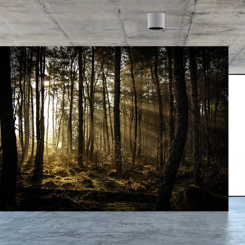 Deep Forest Wallpaper Murals Modern Waterproof Living Room Wall Covering