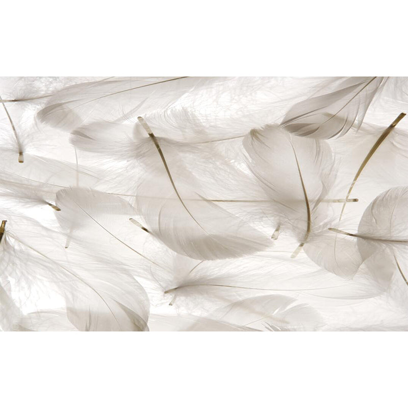 Water Resistant Feather Wall Mural Decal Full Size Modernist Wall Art for Bedroom