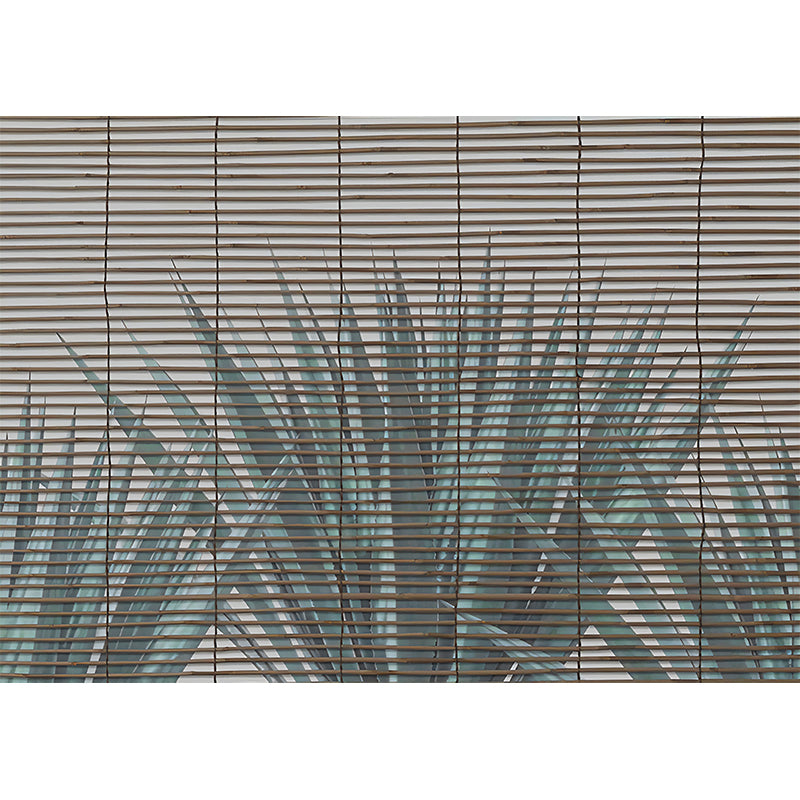 Custom Illustration Tropix Mural Wallpaper with Pleated Shades and Aloe Vera Pattern in Green