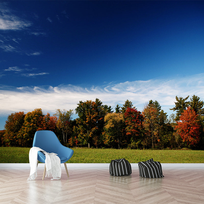 Custom Photography Modern Murals Wallpaper with Fall Lawn and Forest Scene Pattern in Blue-Brown