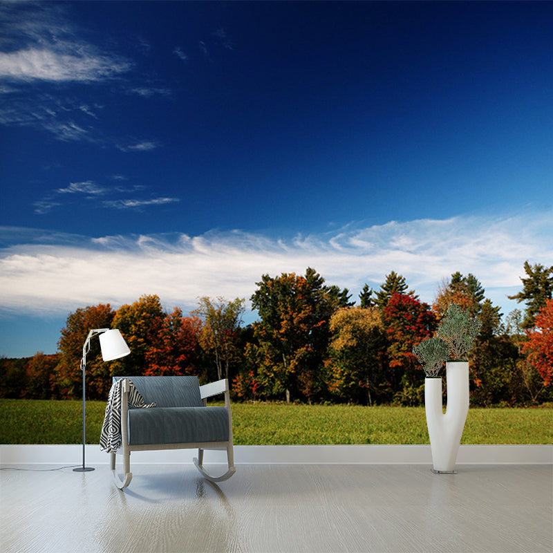 Custom Photography Modern Murals Wallpaper with Fall Lawn and Forest Scene Pattern in Blue-Brown