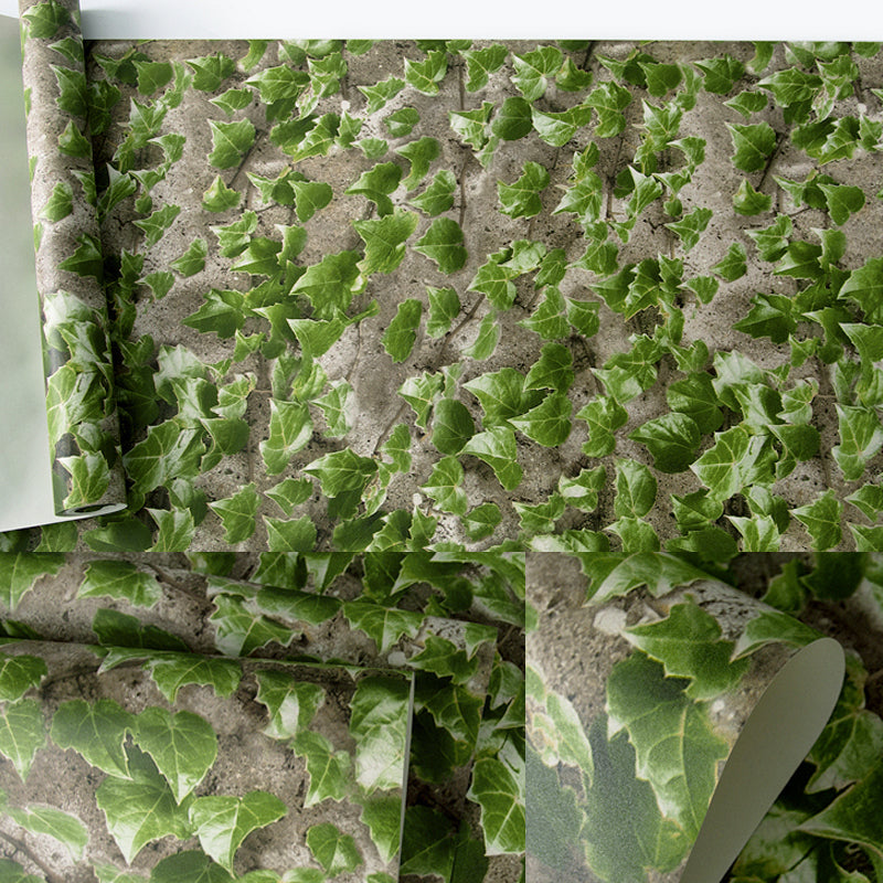 Creeper Plant Wallpaper Roll Countryside Smooth Wall Decor in Dark Color, Waterproof