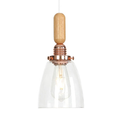 Globe/Cone/Small Bell Pendant Lighting Vintage Clear Glass 1 Licht Roségoud/Chrome hangende lamp met verstelbaar koord