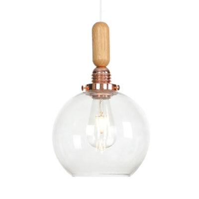 Globe/Cone/Small Bell Pendant Lighting Vintage Clear Glass 1 Licht Roségoud/Chrome hangende lamp met verstelbaar koord