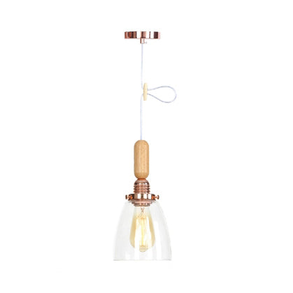 Globe/Cone/Small Bell Pendant Lighting Vintage Clear Glass 1 Licht Roségoud/Chrome hangende lamp met verstelbaar koord