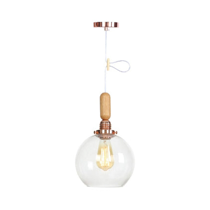 Globe/Cone/Small Bell Pendant Lighting Vintage Clear Glass 1 Licht Roségoud/Chrome hangende lamp met verstelbaar koord