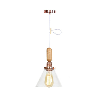 Globe/Cone/Small Bell Pendant Lighting Vintage Clear Glass 1 Licht Roségoud/Chrome hangende lamp met verstelbaar koord