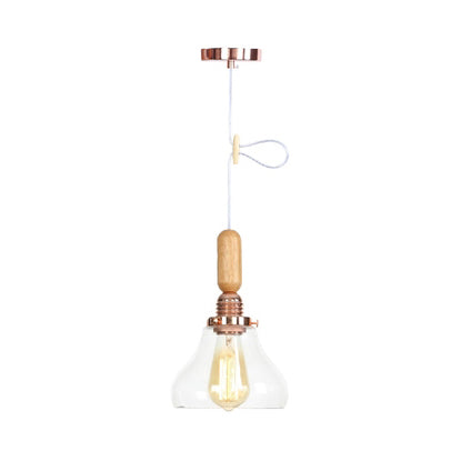 Globe/Cone/Small Bell Pendant Lighting Vintage Clear Glass 1 Licht Roségoud/Chrome hangende lamp met verstelbaar koord