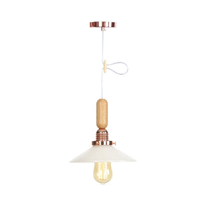 Globe/Cone/Small Bell Pendant Lighting Vintage Clear Glass 1 Licht Roségoud/Chrome hangende lamp met verstelbaar koord