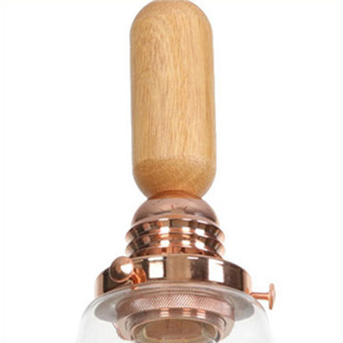 Globe/Cone/Small Bell Pendant Lighting Vintage Clear Glass 1 Licht Roségoud/Chrome hangende lamp met verstelbaar koord