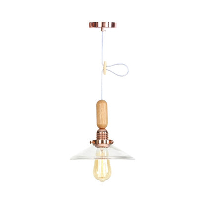 Globe/Cone/Small Bell Pendant Lighting Vintage Clear Glass 1 Licht Roségoud/Chrome hangende lamp met verstelbaar koord