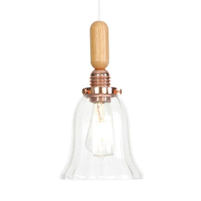 Globe/Cone/Small Bell Pendant Lighting Vintage Clear Glass 1 Licht Roségoud/Chrome hangende lamp met verstelbaar koord