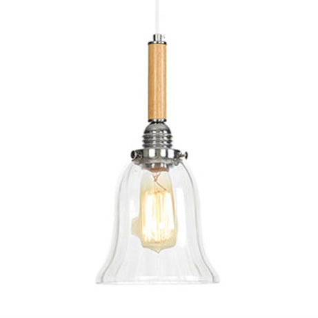 Globe/Cone/Small Bell Pendant Lighting Vintage Clear Glass 1 Licht Roségoud/Chrome hangende lamp met verstelbaar koord