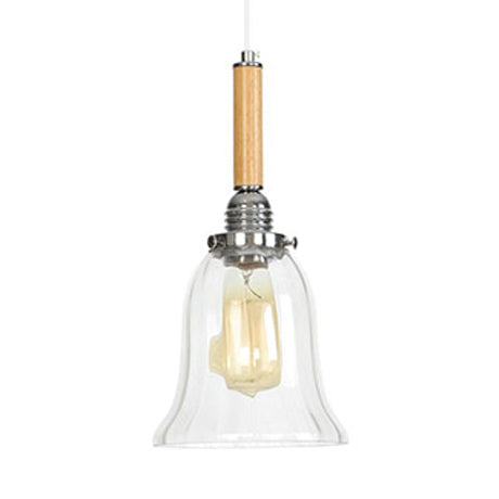 Globe/Cone/Small Bell Pendant Lighting Vintage Clear Glass 1 Licht Roségoud/Chrome hangende lamp met verstelbaar koord