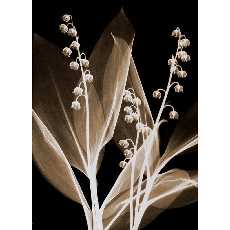 Modern Cape Gooseberry Wall Murals Grey-Coffee Living Room Wall Decor, Custom Made