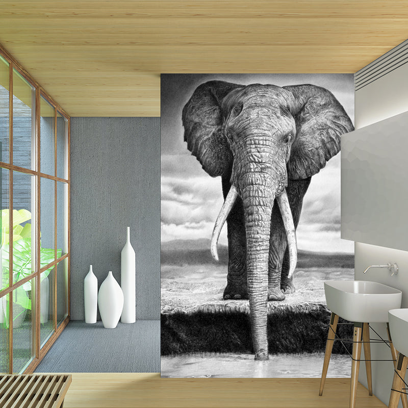 Black-White Elephant Wallpaper Murals Waterproof Contemporary Bedroom Wall Decor