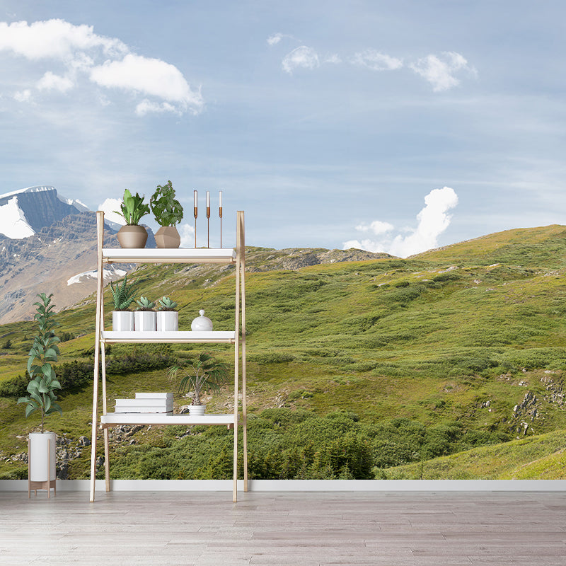 Spring Melting Mountain Murals Modern Stain Resistant Living Room Wall Covering, Size Optional