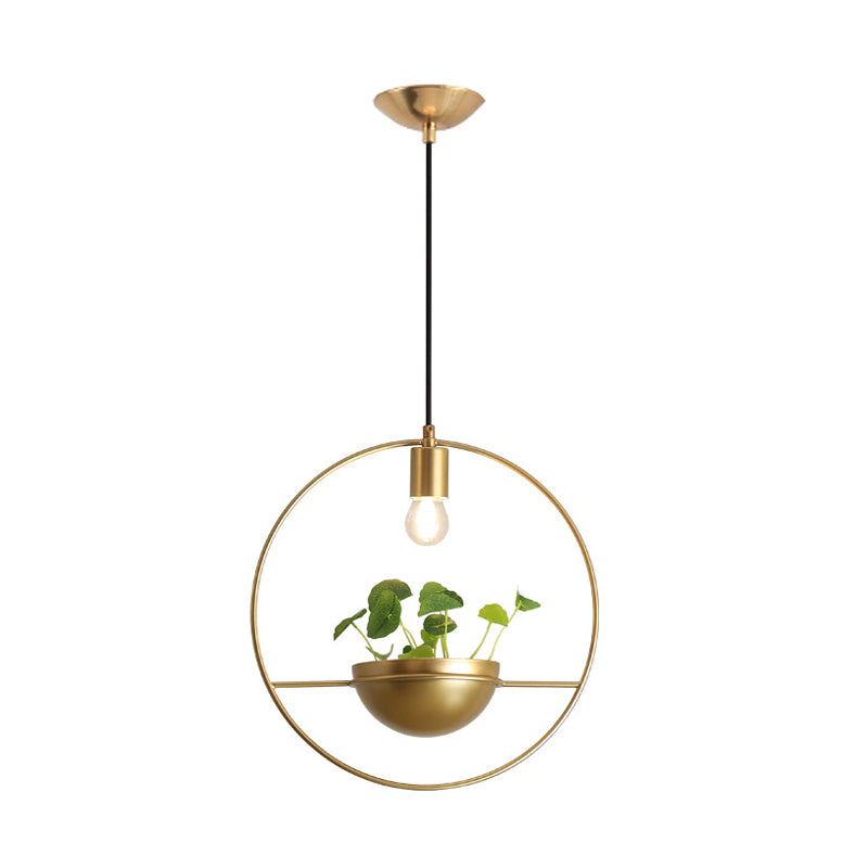 Gold Circular Hanging Lighture Factor Factory Iron 1 Head Comedor de comedor Iluminación colgante de planta