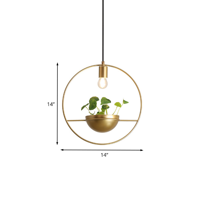 Gold Circular Hanging Lighture Factor Factory Iron 1 Head Comedor de comedor Iluminación colgante de planta