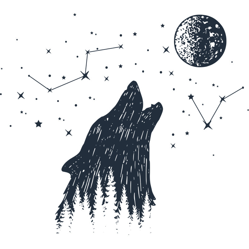 Contemporary Sirius Mural Wallpaper Black-White Constellation Wall Art for Bedroom