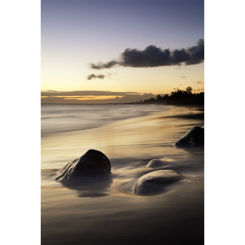 Tropix Nightfall Beach Mural Decal Yellow-Grey Moisture Resistant Wall Art for Home