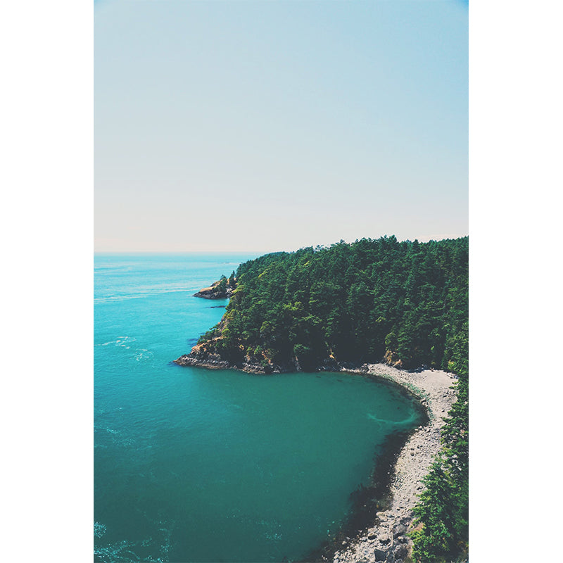 Blue-Green Seascape Wall Mural Forest Bay Modern Stain Resistant Wall Art for Home