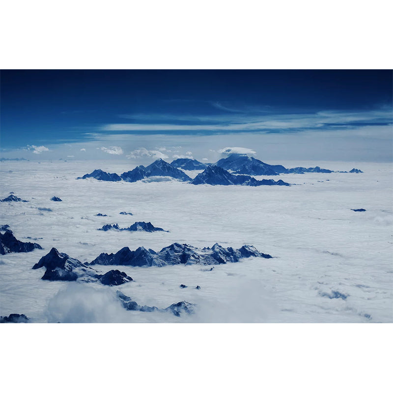 Wilds Covered by Snow Mural in White Contemporary Wall Art for Living Room, Custom Print