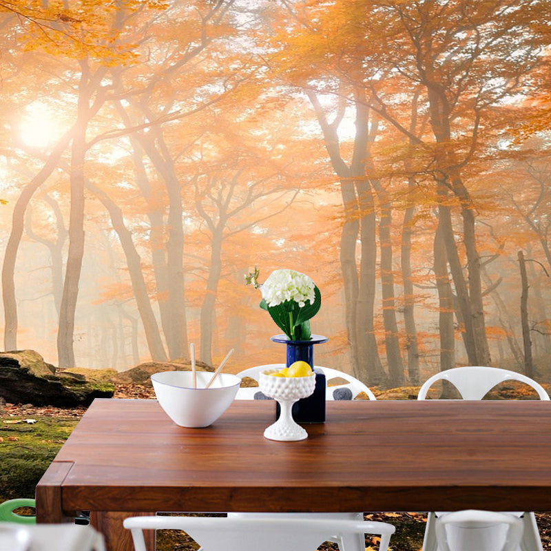 Modern Style Fall Scenery Mural Orange Morning Sunshine Shines Through Forest Wall Art