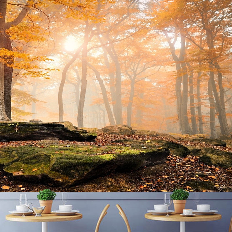 Modern Style Fall Scenery Mural Orange Morning Sunshine Shines Through Forest Wall Art