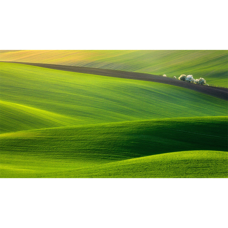Green Hills Landscape Wall Mural Decal Washable Modern Home Gallery Wall Covering
