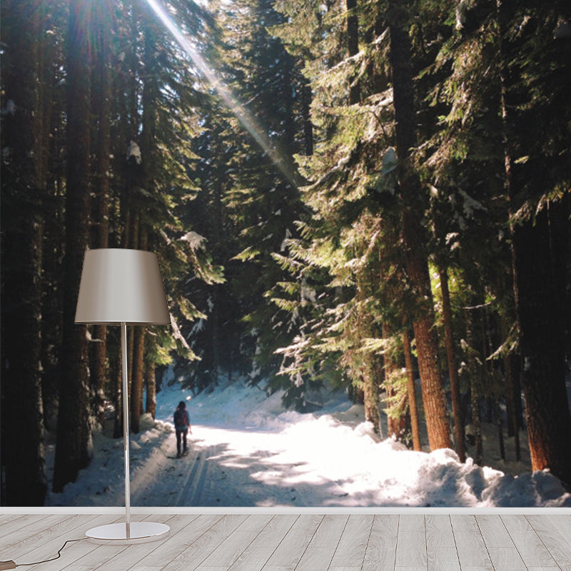 Green Modern Wallpaper Mural Full-Size Walk in Snowy Pine Forest with Sunshine Wall Art for Corridor
