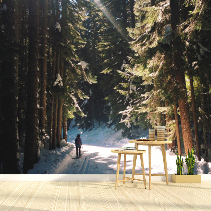 Green Modern Wallpaper Mural Full-Size Walk in Snowy Pine Forest with Sunshine Wall Art for Corridor