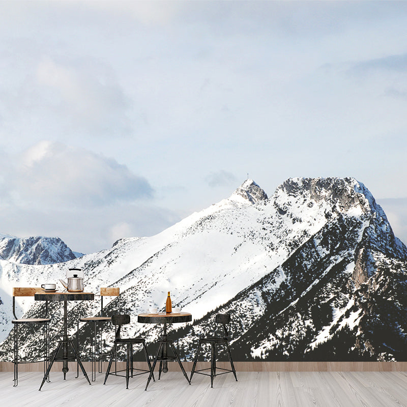 Photography Snow Mountain Wall Mural Big Wall Covering for Accent Wall, Custom Size, White
