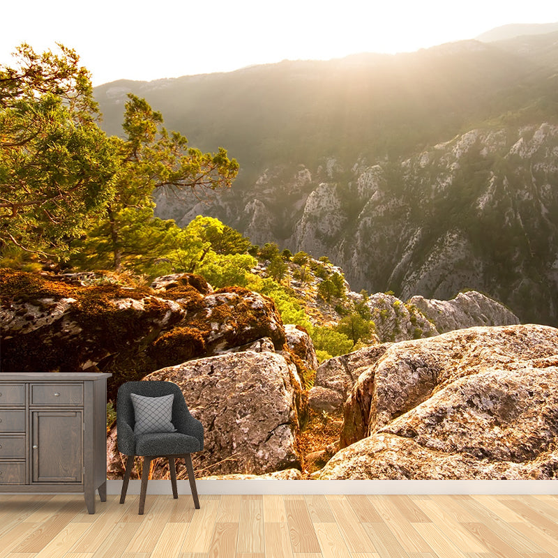 Brown Mountain Sunrise Scene Mural Waterproof Modern Style Living Room Wall Decor