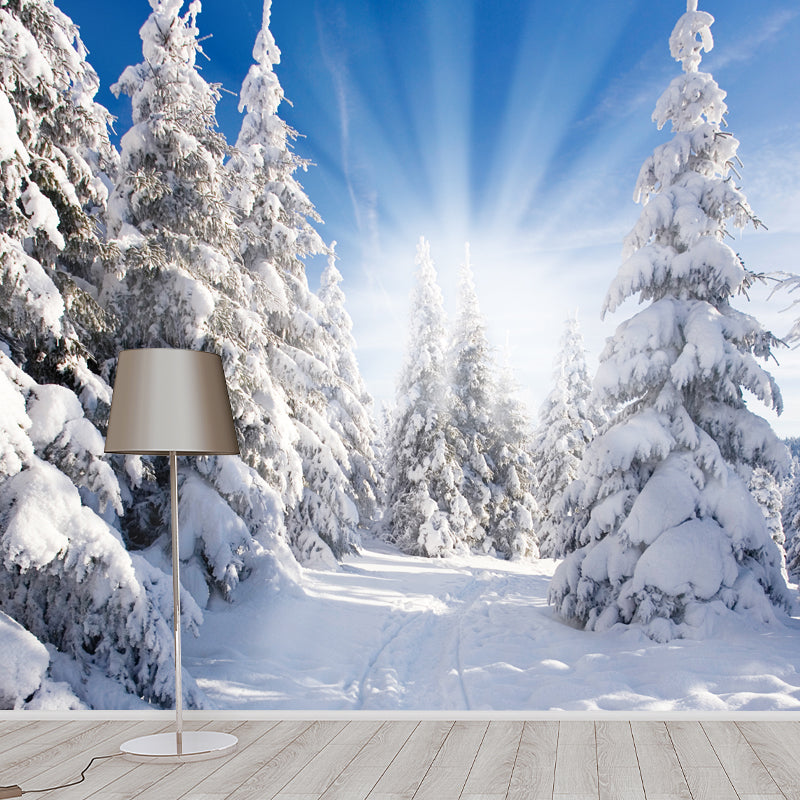 Full Size Winter Morning Mural Indoor Snowy Cypress Wall Decor in White, Waterproof