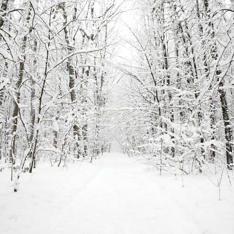 White Snowy Leafless Trees Mural Winter Scene Modern Moisture Resistant Wall Art