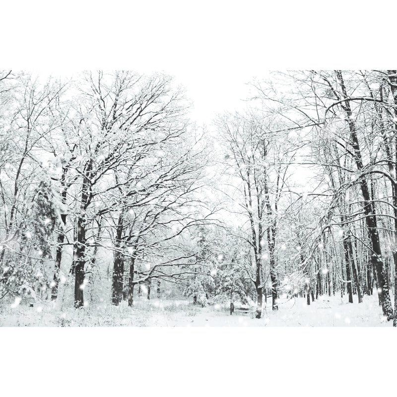 Custom Photo-Print Modern Mural with Bare Trees and Snow Landscape Pattern in White