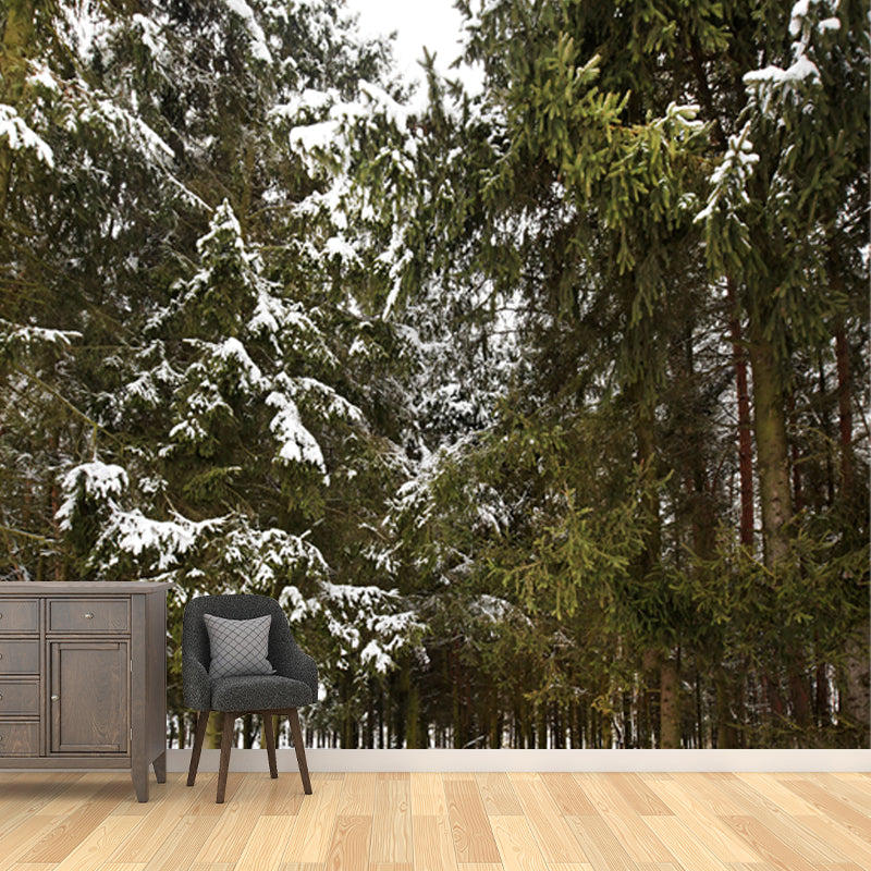 Green Winter Scenery Wall Mural Entrance to Snow Forest Modern Waterproof Wall Art for Home