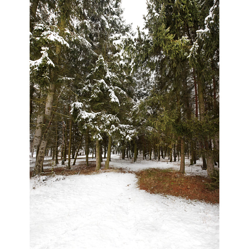 Green Winter Scenery Wall Mural Entrance to Snow Forest Modern Waterproof Wall Art for Home