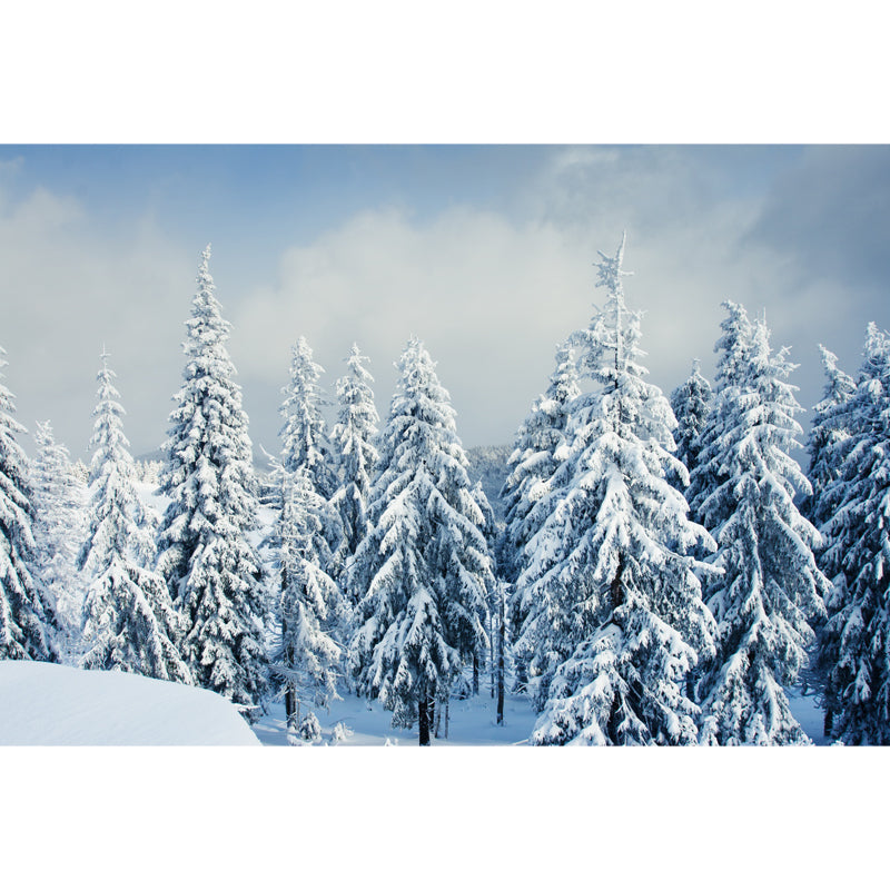 Cypress Covered with Snow Mural Modern Waterproof Bedroom Wall Art, Custom Made, White