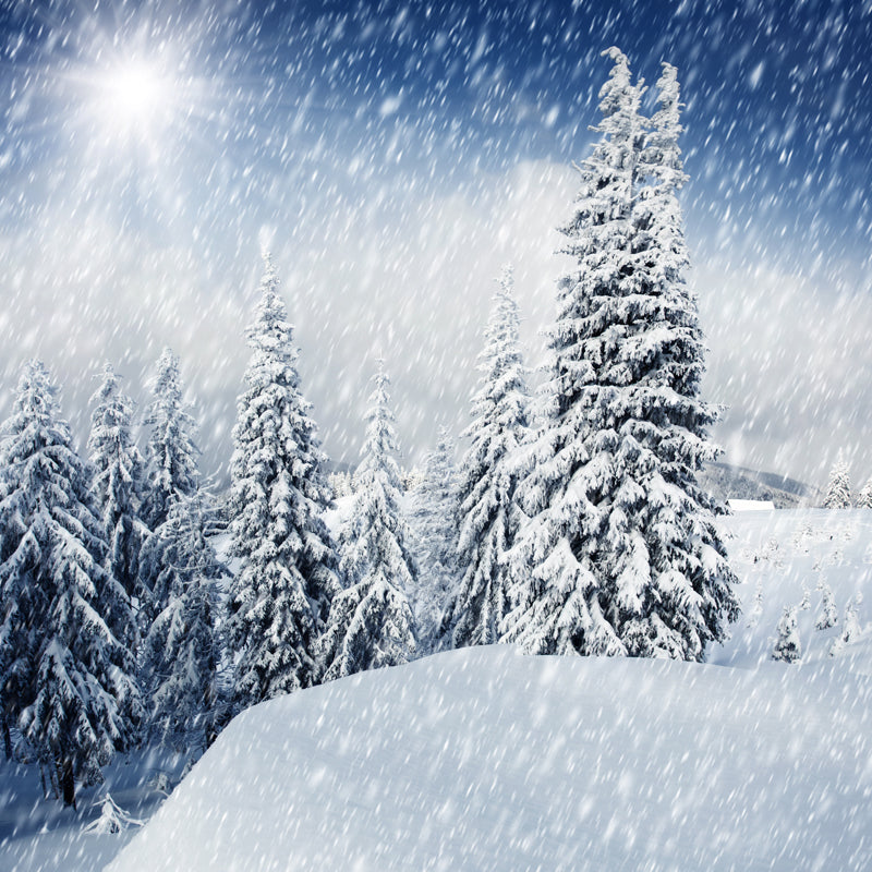 Cypress Winter Snowing Scenery Mural Modern Non-Woven Material Wall Decor in White