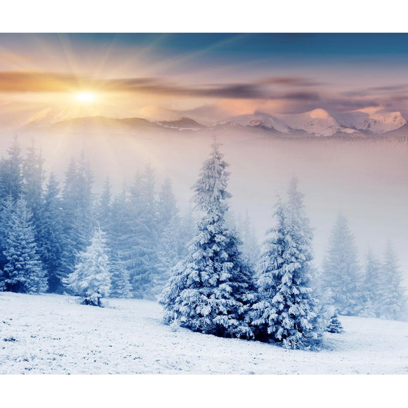 Modern Sunrise Snowy Cypress Mural Non-Woven Moisture Resistant Blue Wall Decor for Bedroom