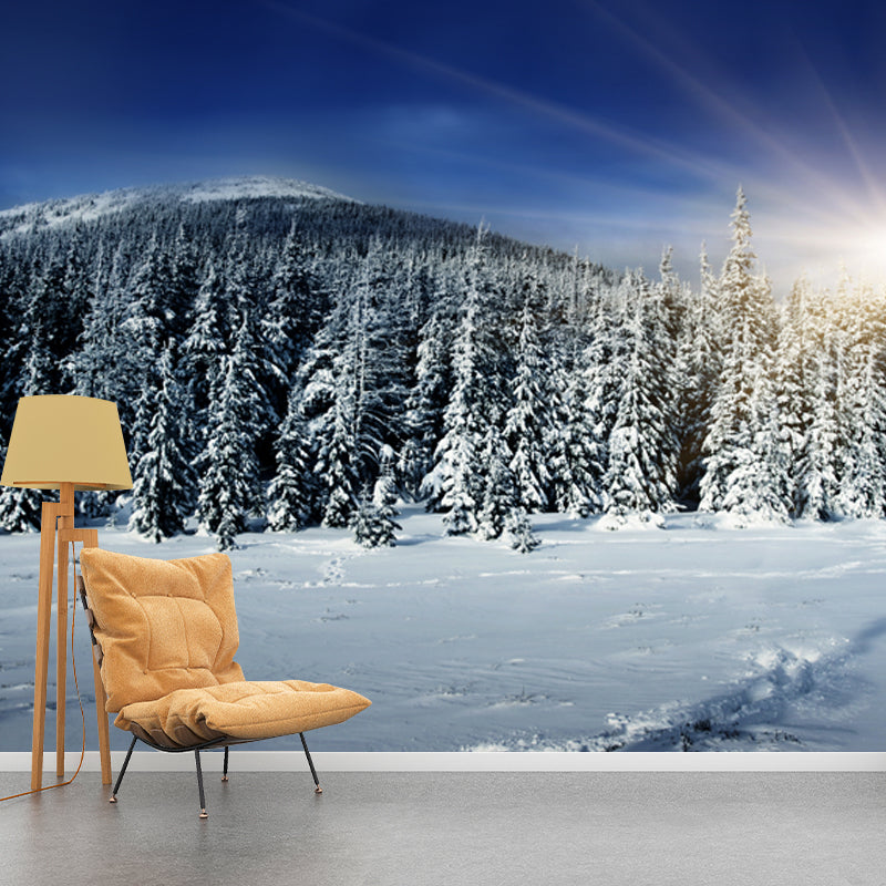 Big Sunburst Winter Forest Mural Blue Non-Woven Fabric Wall Covering, Waterproof, Made to Measure