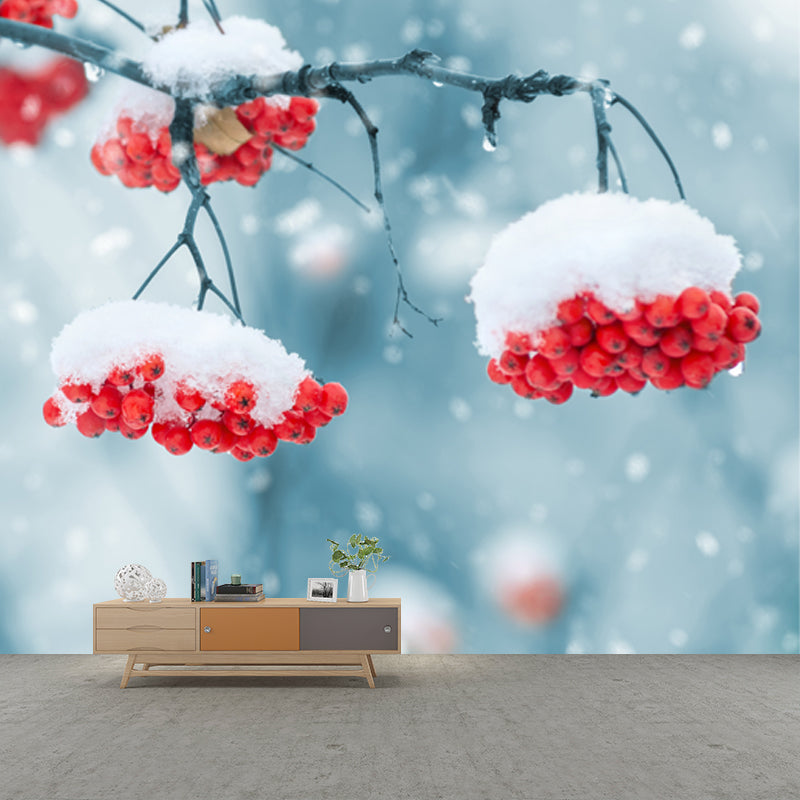 Blue-Red Modern Wallpaper Mural Whole Cherry-Like Fruit Covered with Snow Wall Decor for Home