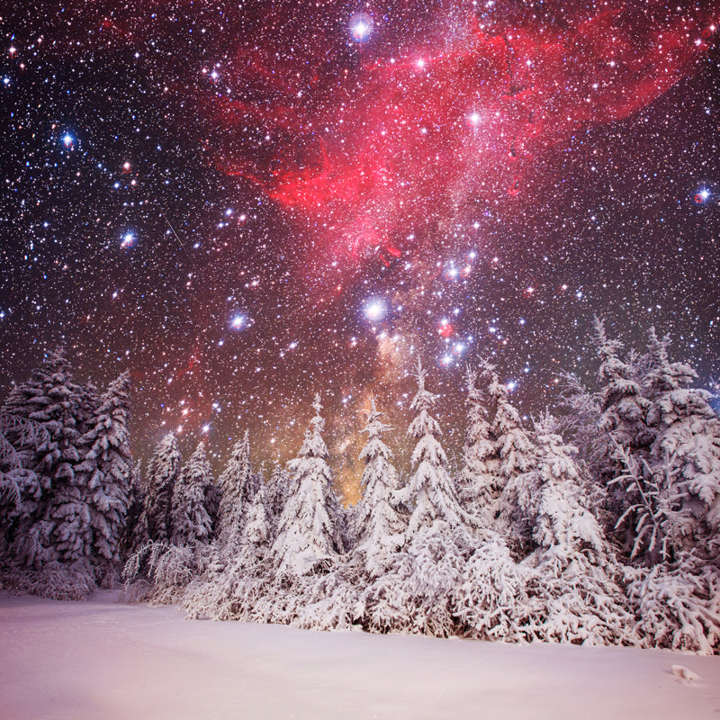 Magic Cypress Starry Night Mural Living Room Snowing Scenery Wall Decor, Custom Printed