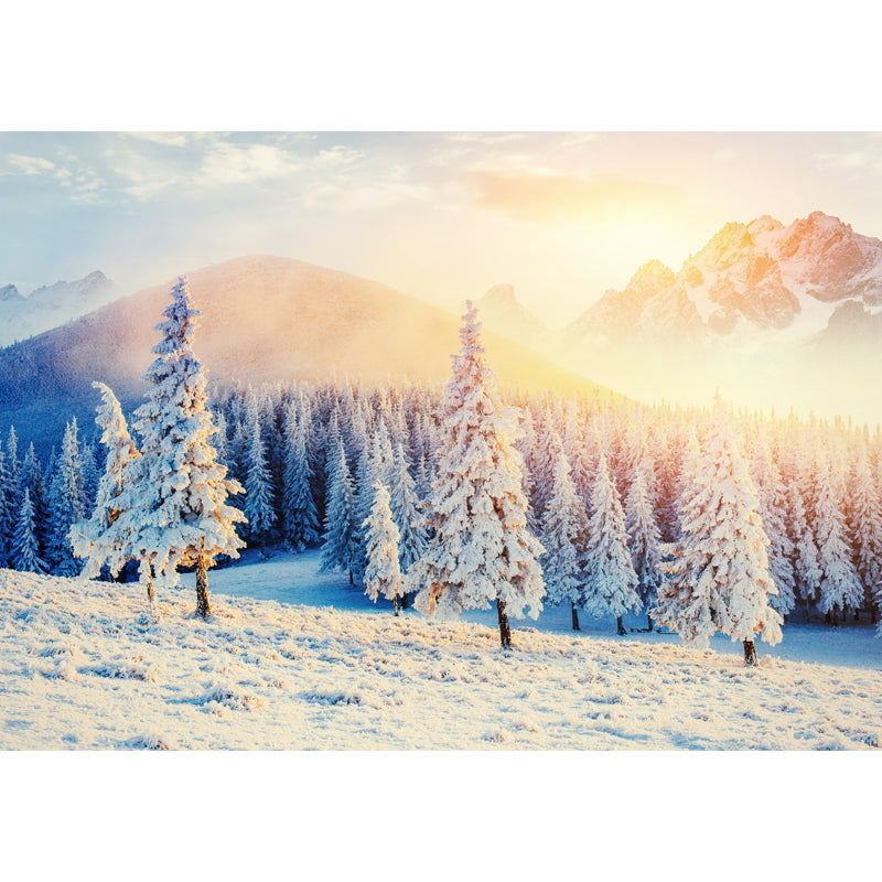 Sunshine on Snowy Cypress Mural Brown Modern Style Wall Covering for Living Room